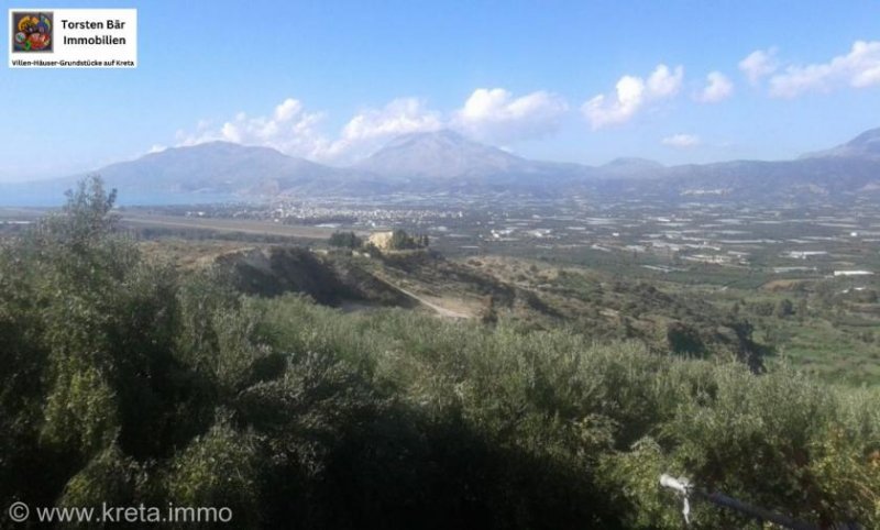 Vori Kreta, Vori Olivenhain 200.000m² mit 2 Gebäuden zu verkaufen Grundstück kaufen